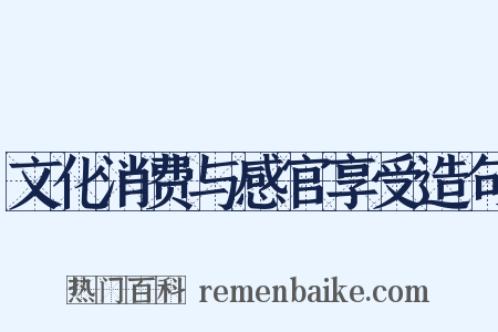 文化消费与感官享受造句是什么意思的图片